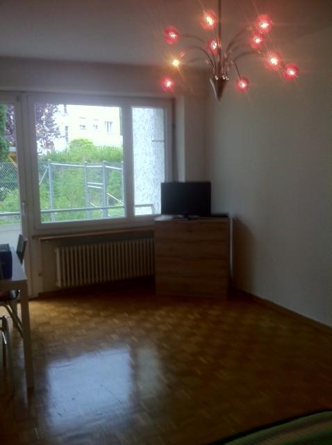 Rent A Home Tannwaldstrasse オルテン エクステリア 写真